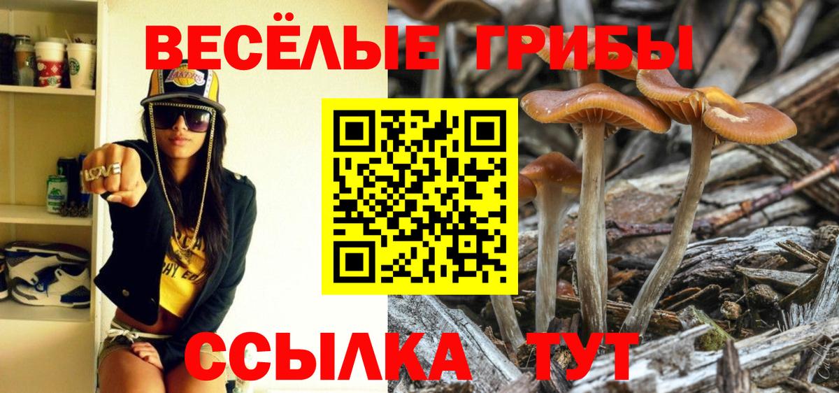 Рузаевка  Псилоцибиновые грибы MAGIC MUSHROOMS  Вход с VPN 